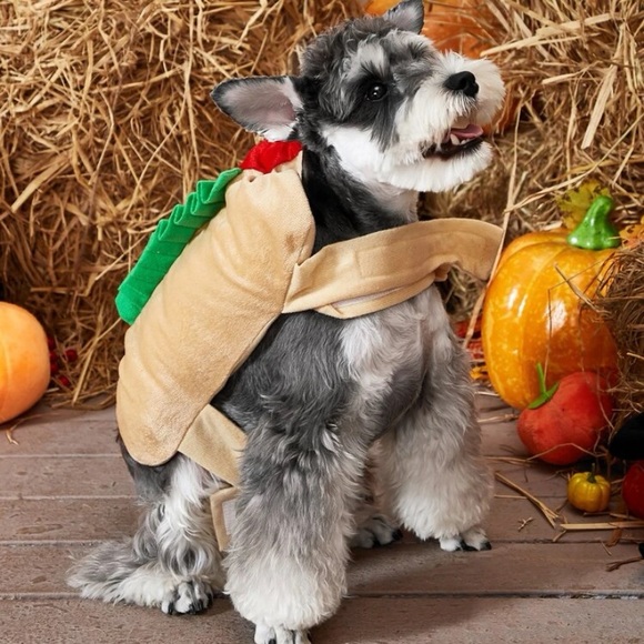 Hot Dog Halloween Pet Costume - Picture 2 of 6